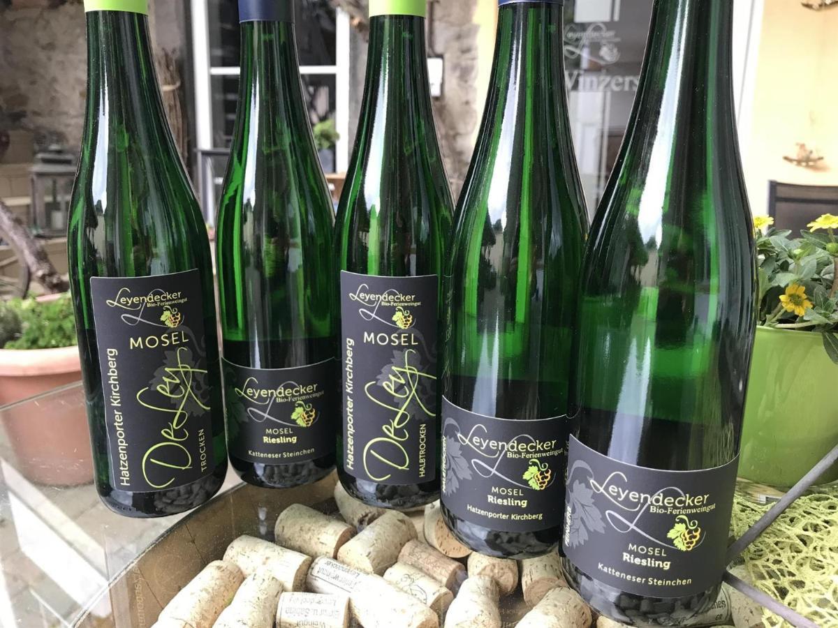 Bio-Ferienweingut Leyendecker Lejlighed Kattenes Eksteriør billede